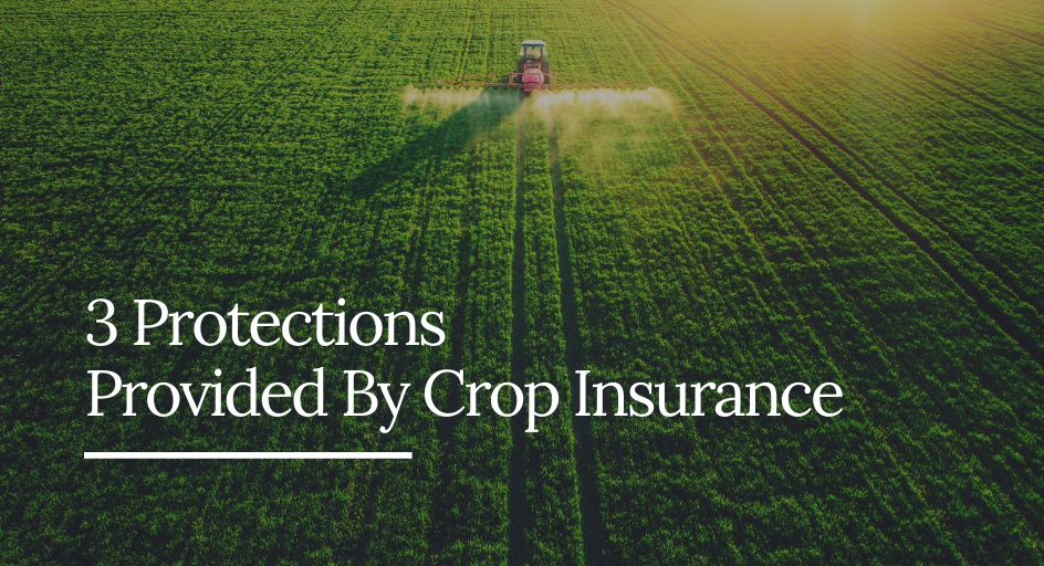 3 Protections Provided By Crop Insurance - Powell & Meadows Insurance ...
