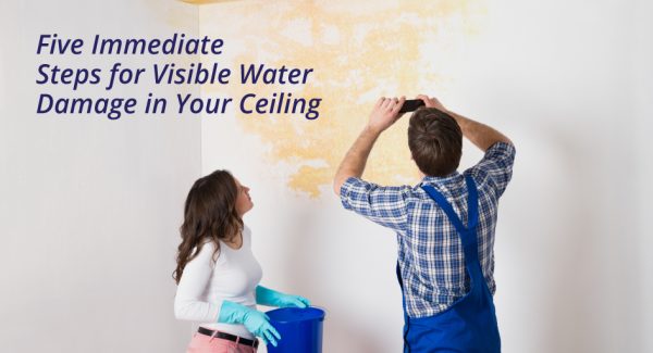 blog image of a water stain on a woman's ceiling and wall; blog title: Five Immediate Steps for Visible Water Damage in Your Ceiling